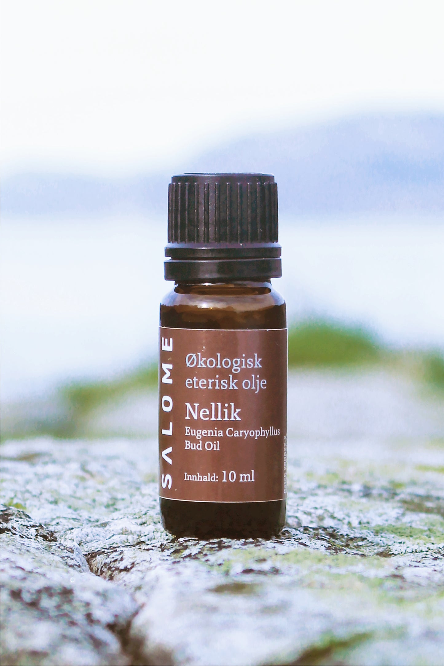 Nellik eterisk olje økologisk