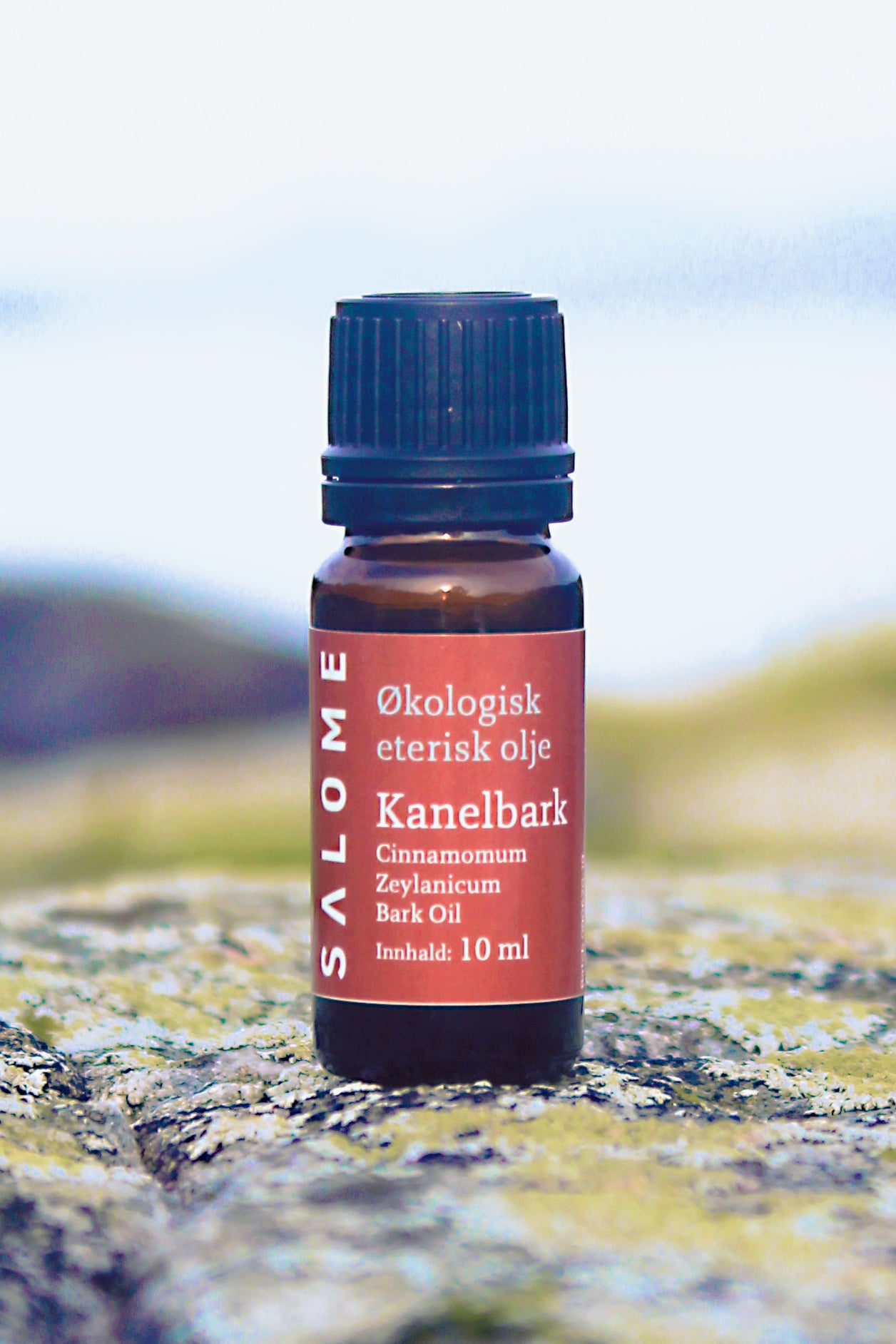 Kanelbark Zeylanicum eterisk olje økologisk