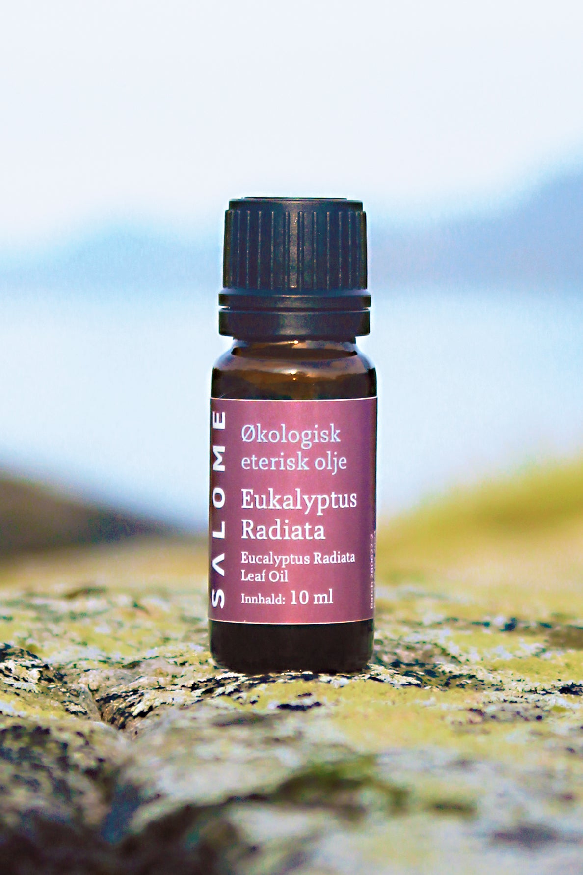 Eukalyptus Radiata eterisk olje økologisk