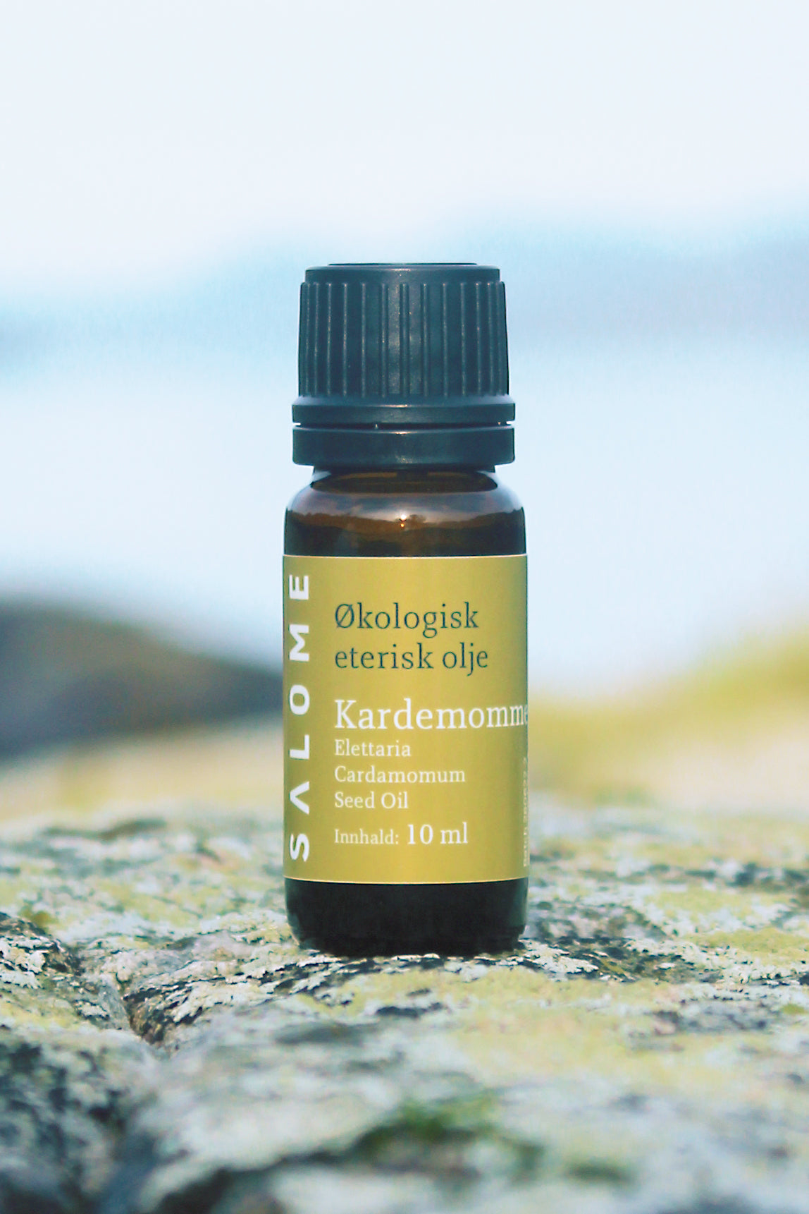 Kardemomme eterisk olje økologisk