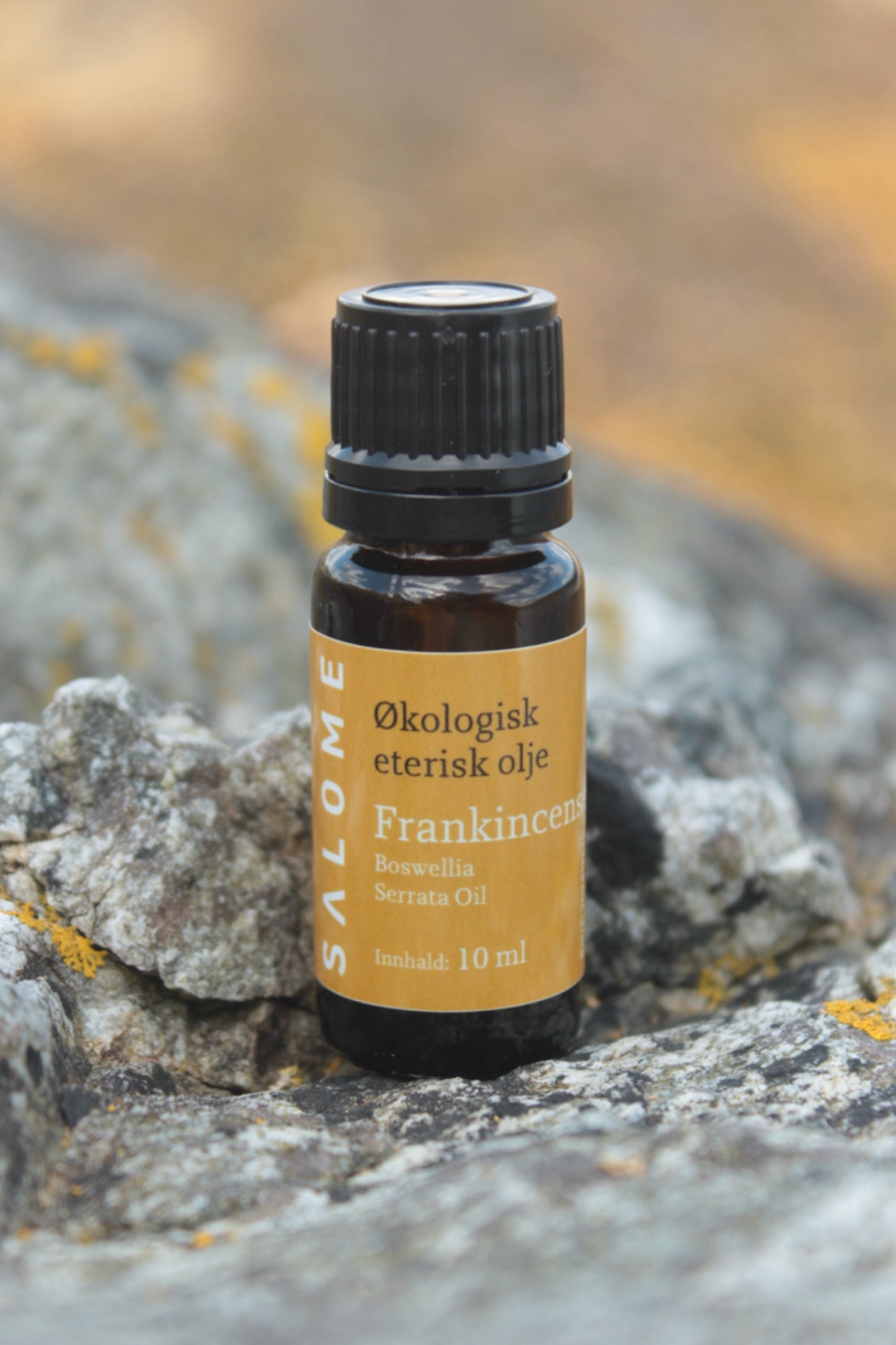 Frankincense serrata eterisk olje økologisk