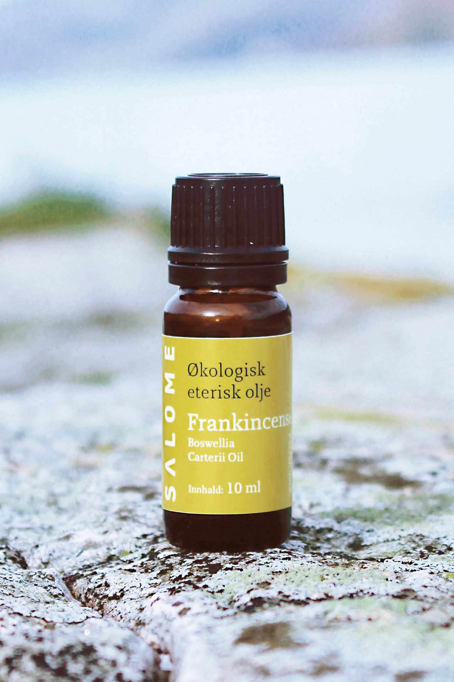 Frankincense serrata eterisk olje   økologisk