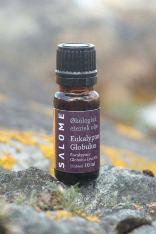 Eukalyptus Globulus eterisk olje      økologisk